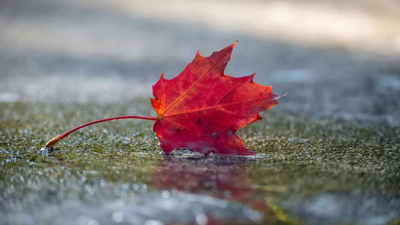 Yurt genelinde bulutlu hava hakim: İç kesimlerde kar bekleniyor 1