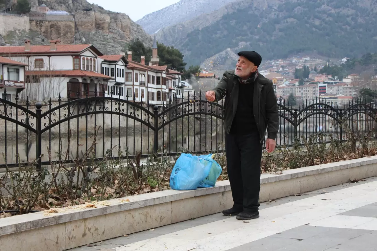 84 yaşındaki “Yemci Dede” 20 yıldır sokak güvercinlerini besliyor 3