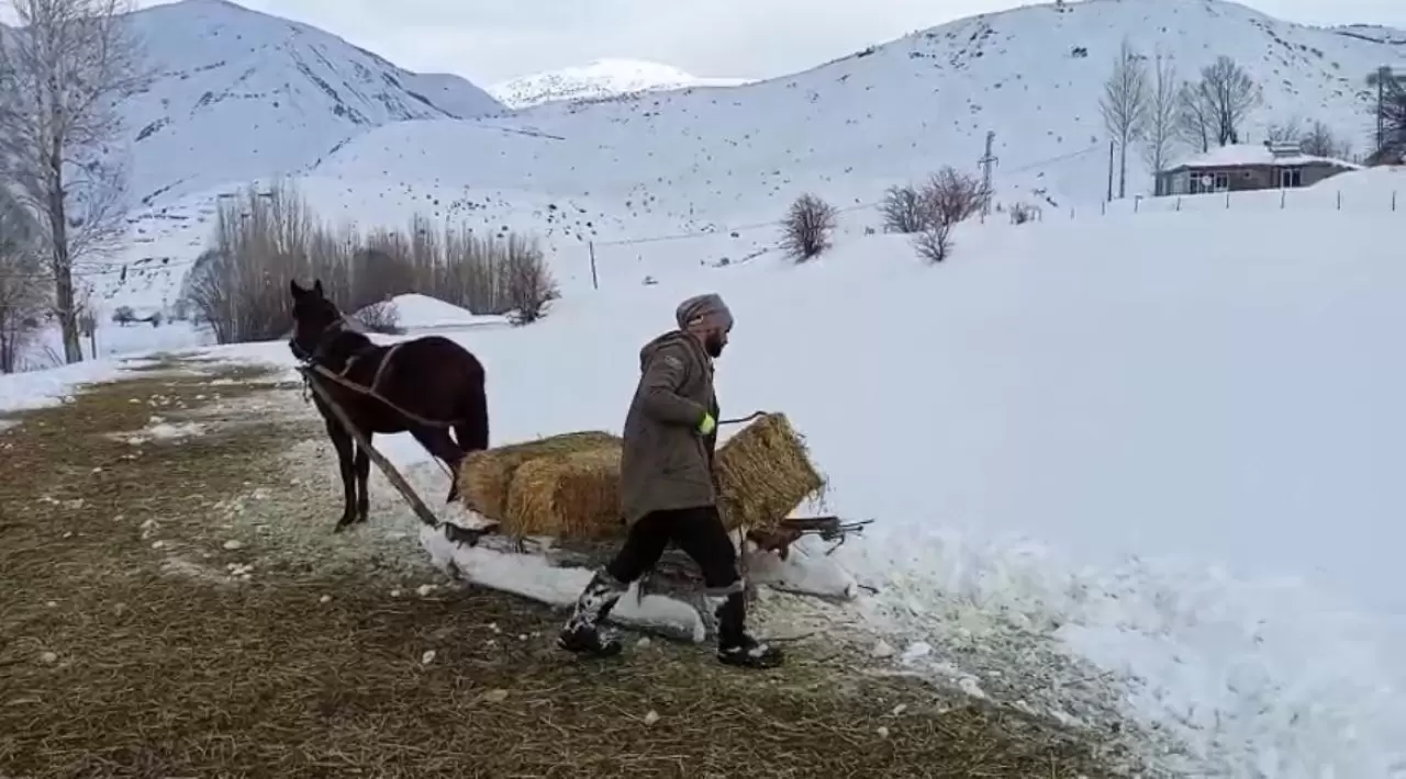 Karlıova'da ağır kış şartları besicileri zor durumda bıraktı 2