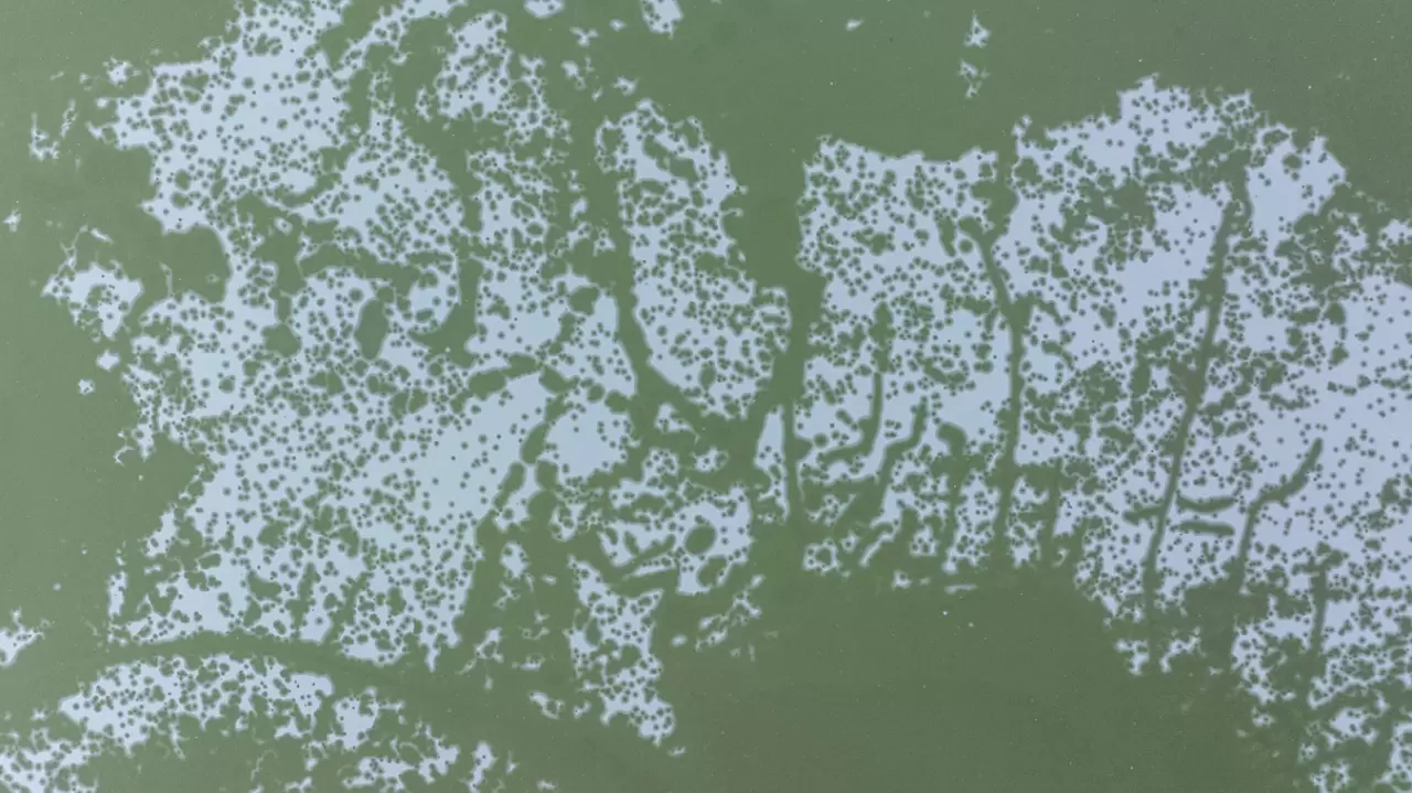 Ankara’da Mogan Gölü dondu 8