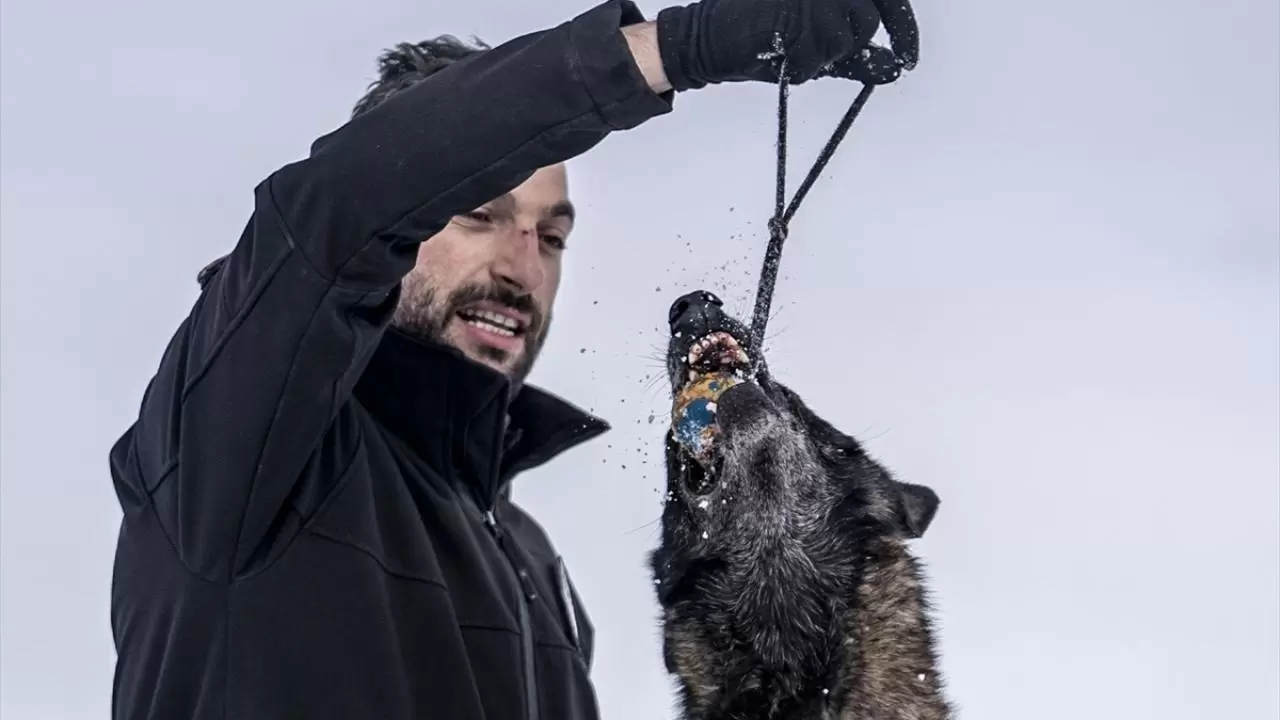 Erzurum'da polis köpekleri için yüksek irtifa eğitim üssü kuruldu 11