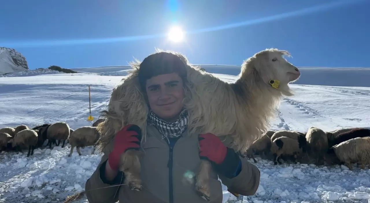 Yüksekova'da besicilerin kış mücadelesi devam ediyor 5