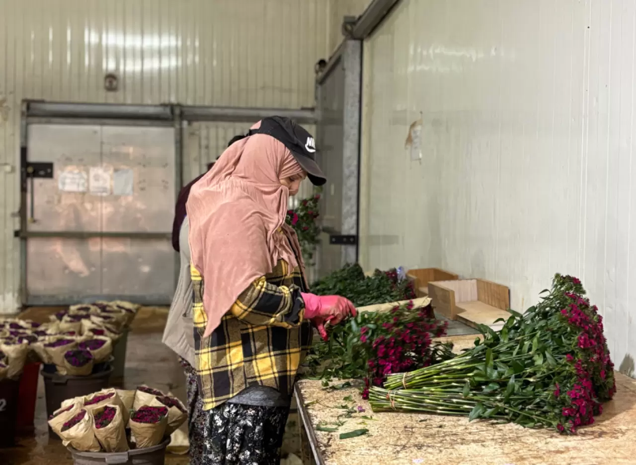 Antalya çiçek açtı: 850 milyon dal üretildi 5