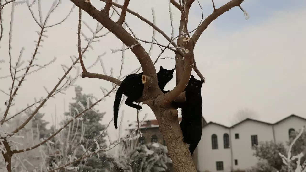 Diyarbakır’da görüş mesafesi metrelere düştü 7