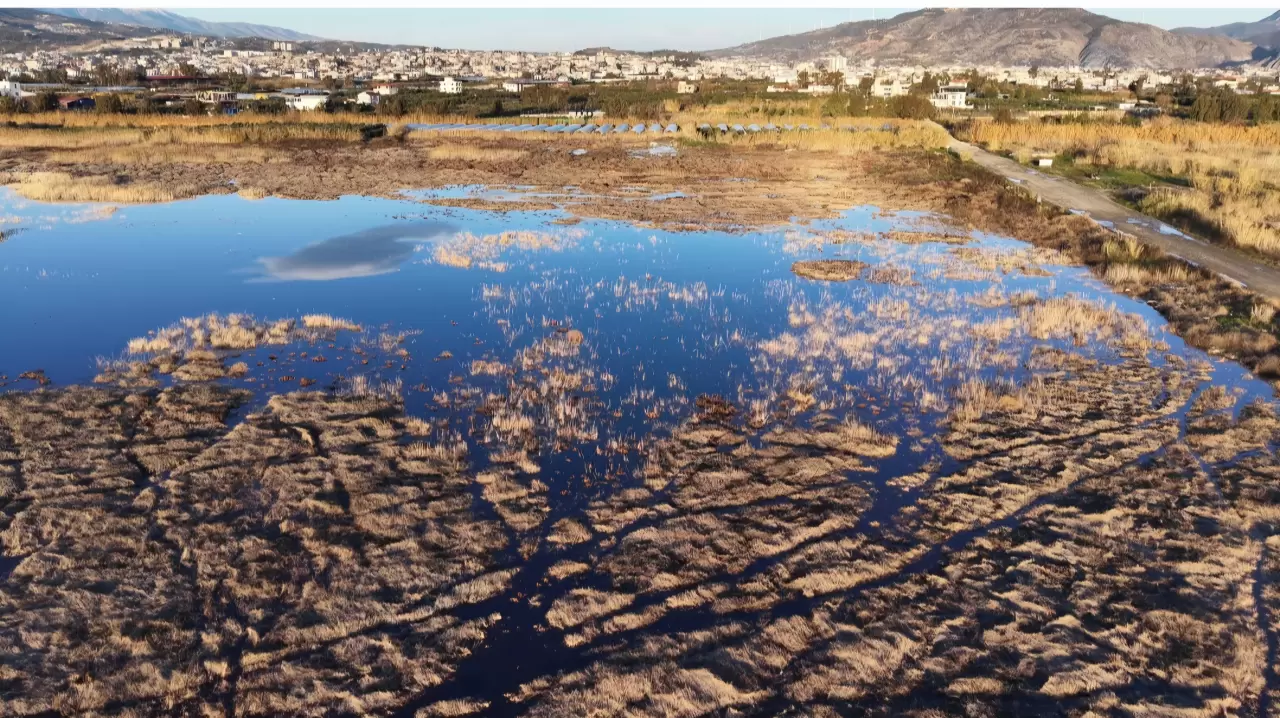 Tamamen kuruyan Milleyha yeniden hayat buldu! 6