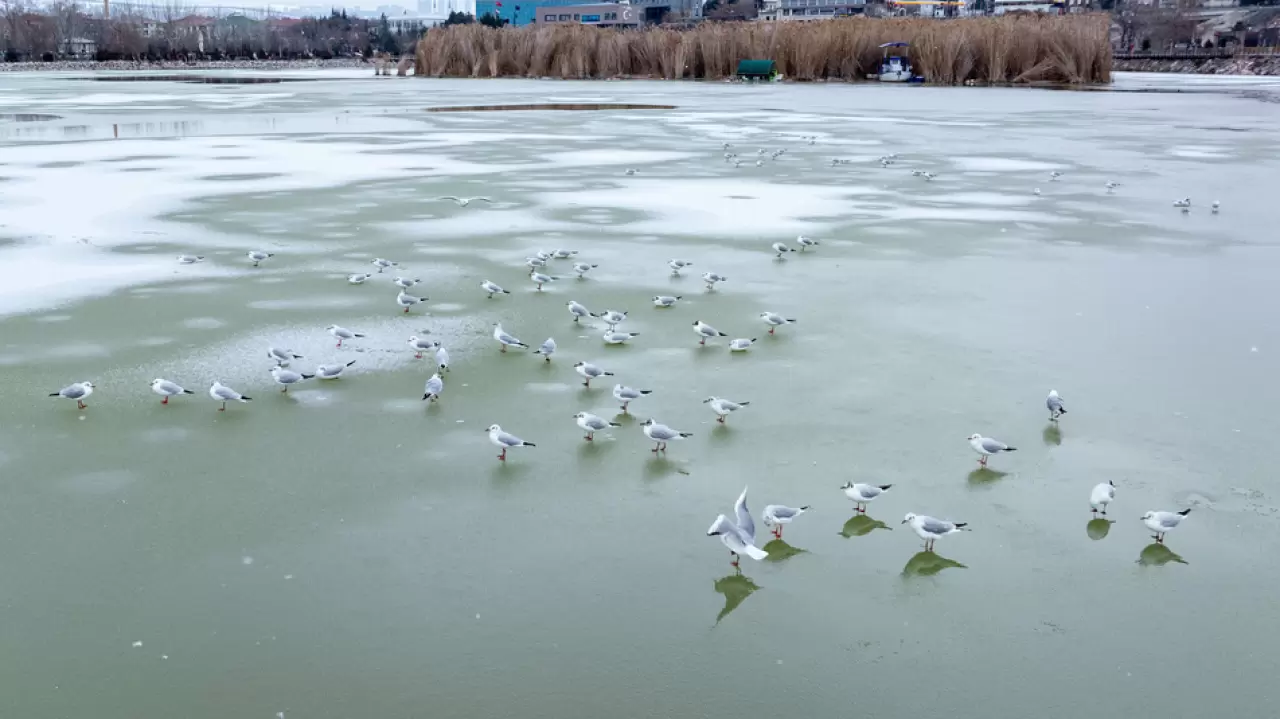 Ankara’da Mogan Gölü dondu 10