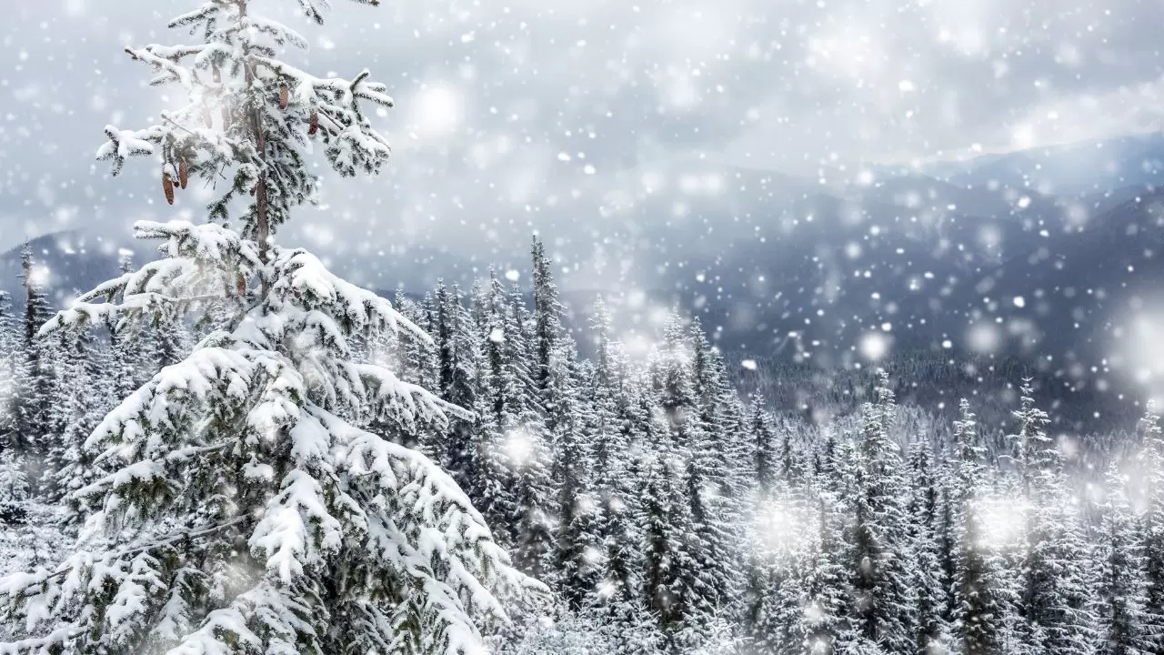 Türkiye alarmda! Kar ve fırtına geliyor, bu şehirlerde hayat duracak! 7