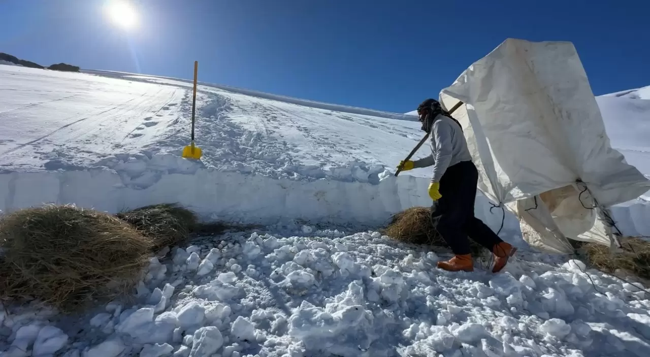 Yüksekova'da besicilerin kış mücadelesi devam ediyor 6