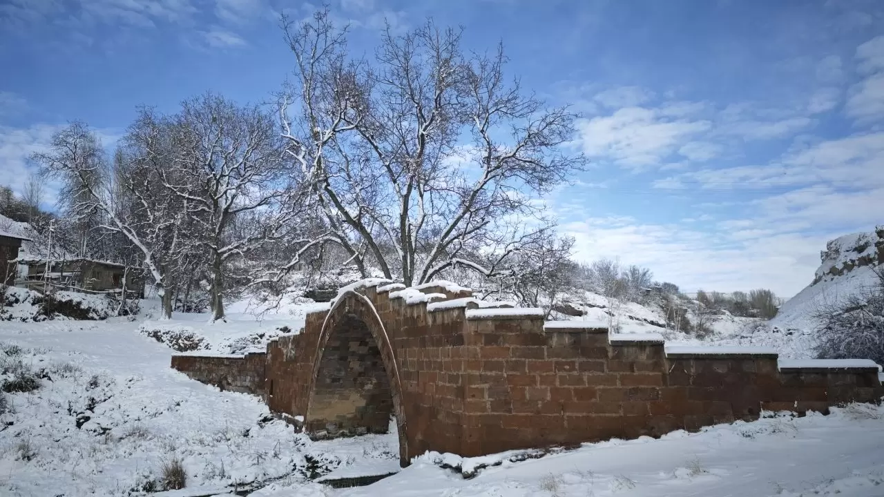 Hizan ve Ahlat’ta kar alarmı: Tarihi eserler ve köyler beyaz örtüyle kaplandı! 7