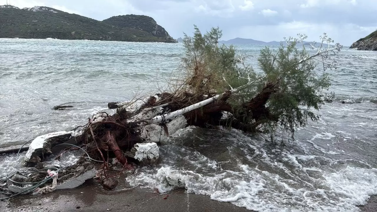 6 metrelik dalgalar camları tuzla buz etti 5