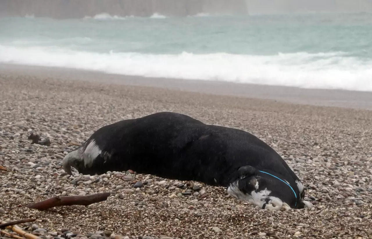 Antalya Valiliği’nden şiddetli sağanak ve fırtına kararı 2