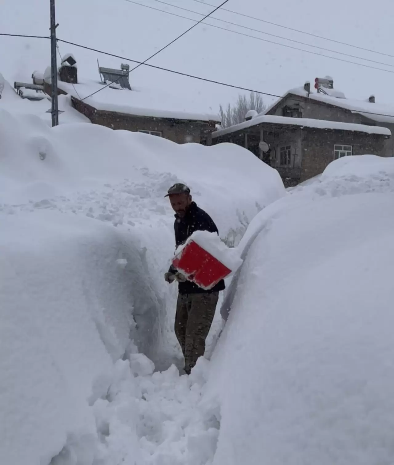 Tunceli'de kar kalınlığı 1,5 metreyi geçti! İnekler gözden kayboldu 3
