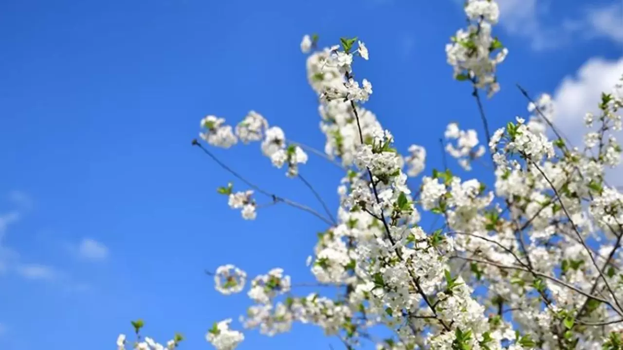 2026 cemre düşme tarihleri | İlk cemre ne zaman, nereye düşecek? 4