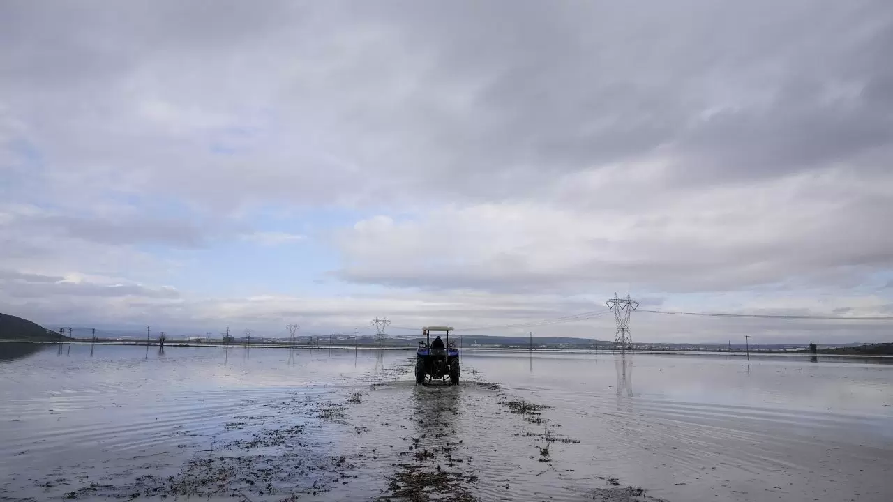 Tarlalar sular altında kaldı, çiftçi bayram etti! 3