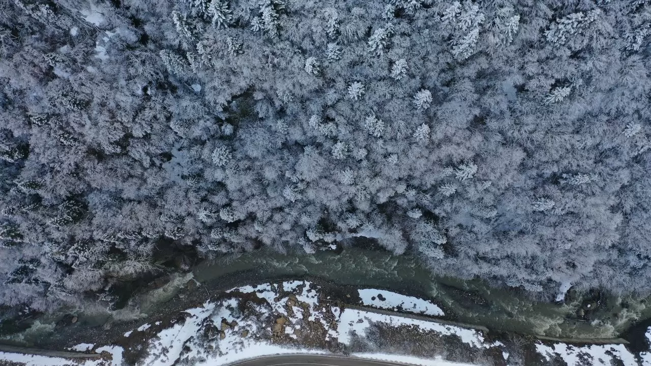 PAN Parks Sertifikalı milli park beyaz örtüyle kaplandı! 2