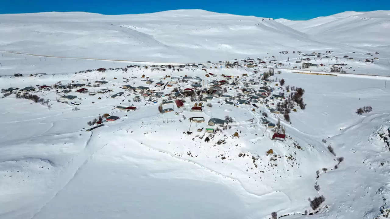 3 metre kar, dondurucu soğuk... Erzurum'da kar besiciler yaşam mücadelesi veriyor 3