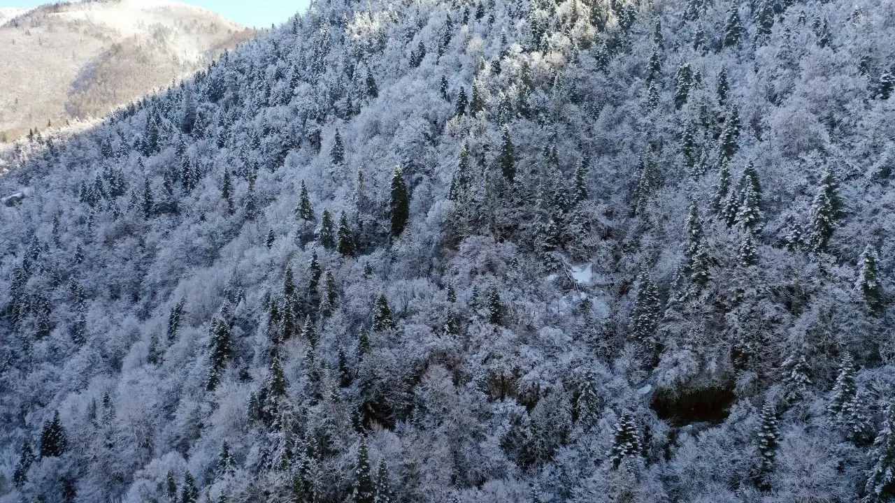 PAN Parks Sertifikalı milli park beyaz örtüyle kaplandı! 1