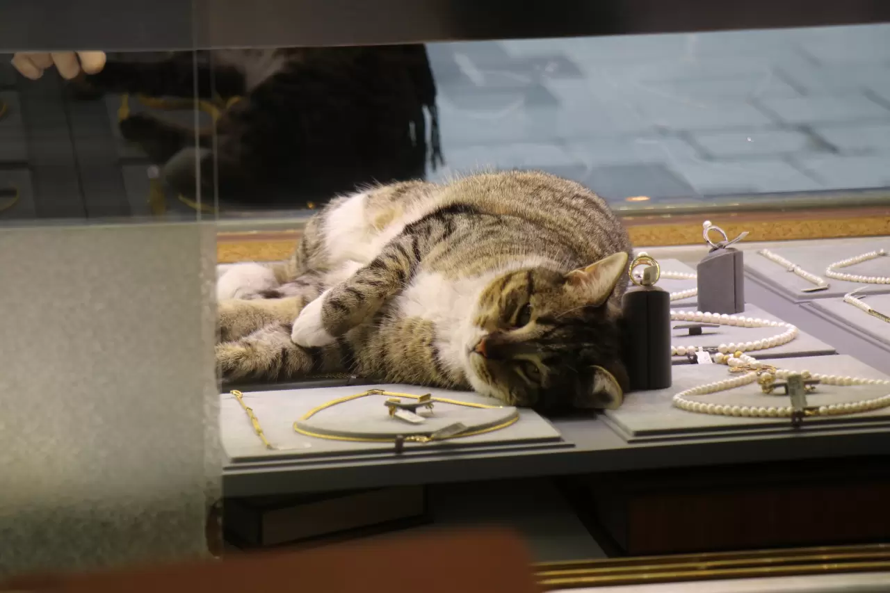 Sakaryalı kuyumcunun vefalı mesai arkadaşı 2