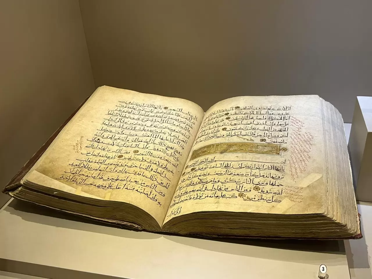 8 milyon yıl öncesine tanıklık eden müze 40 bin kişiyi ağırladı 5