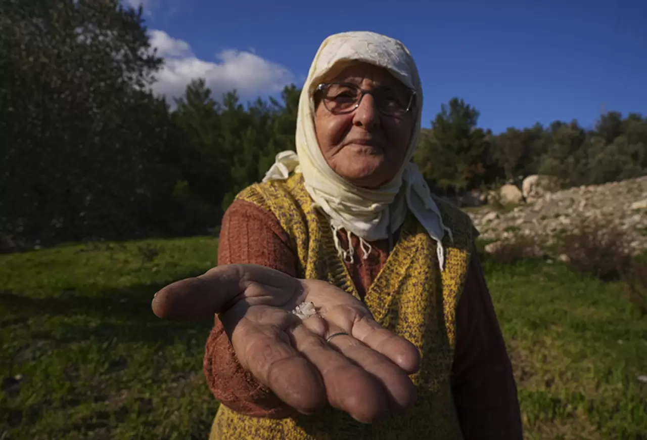 Birlik oldular, yeniden diktiler! İzmirli kadınlar kaybolan mirası yeniden yeşerttiler 5