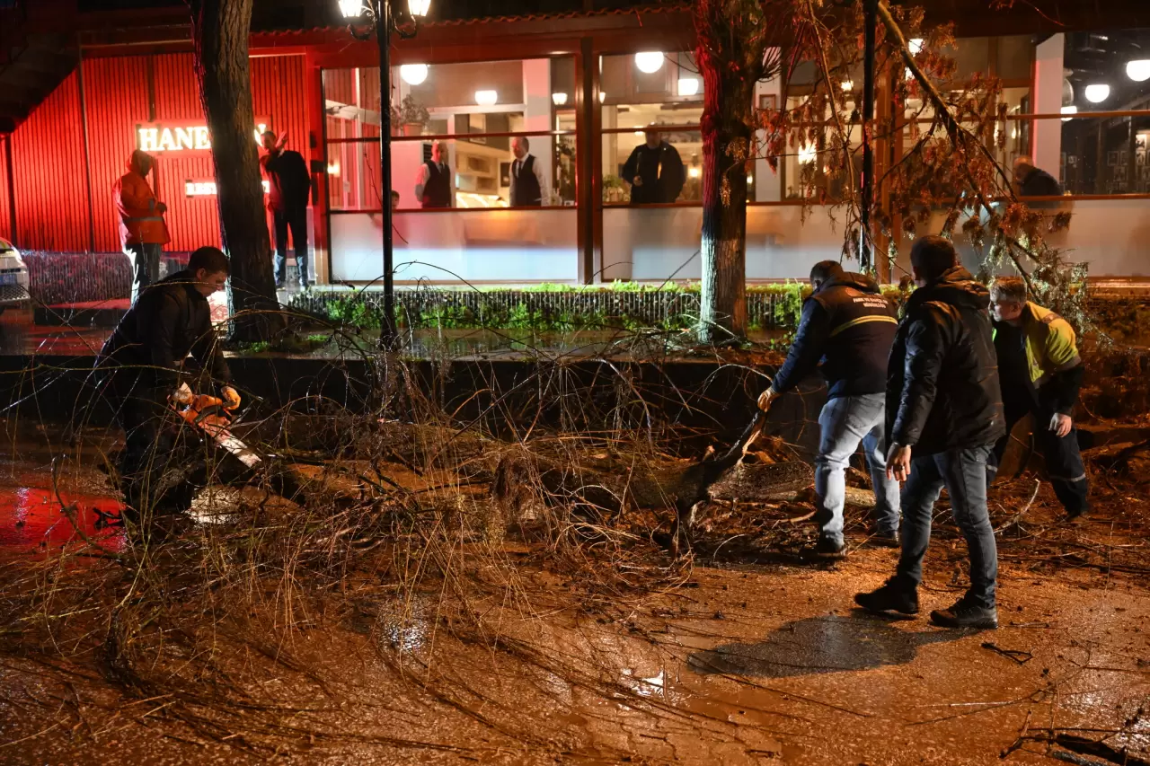 Edirne'de fırtına otomobilin üzerine ağaç devirdi 4