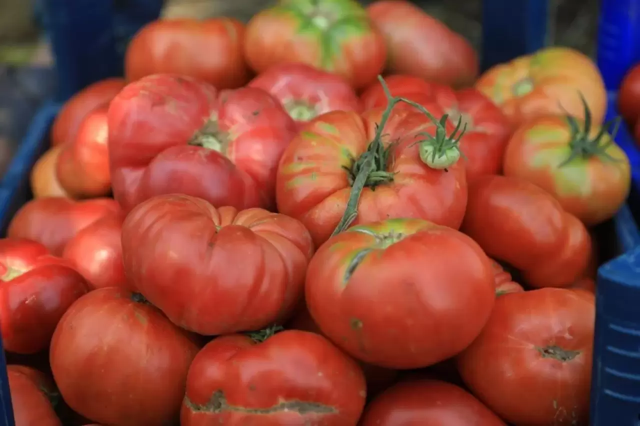 Domatesin çürümesini ve küflenmesini anında engelliyor: Haftalarca buzdolabında tazecik kalıyor 2
