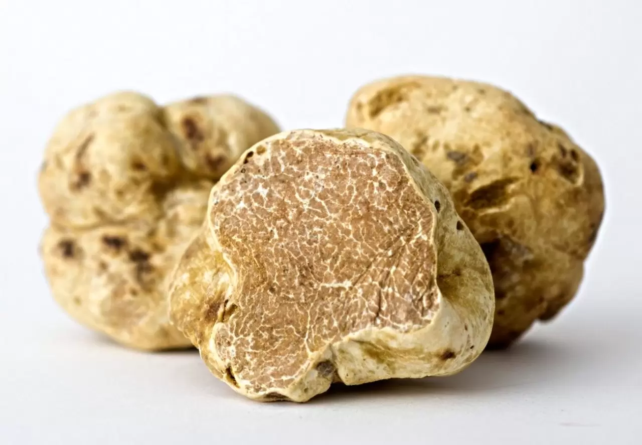 Servetinizi harcayacağınız 8 lüks yiyecek! 1