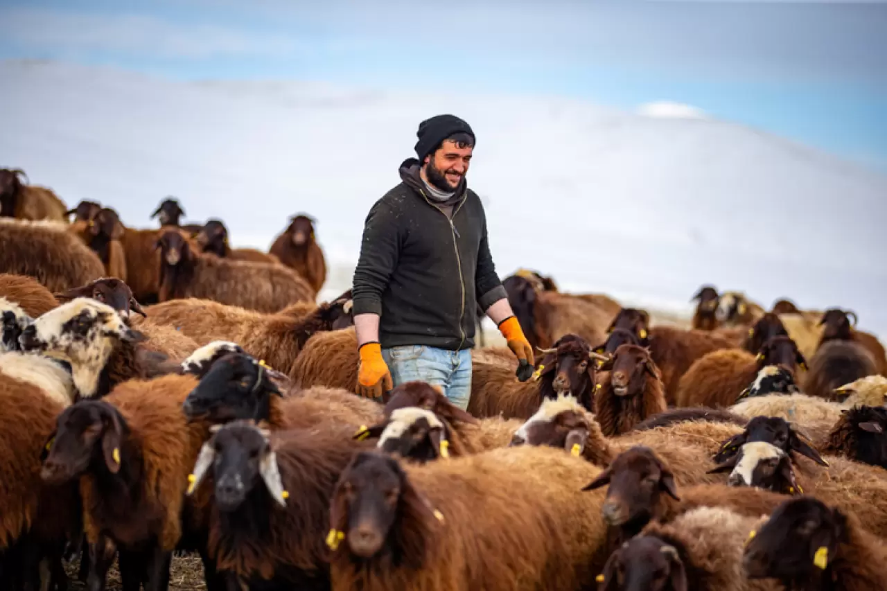 3 metre kar, dondurucu soğuk... Erzurum'da kar besiciler yaşam mücadelesi veriyor 4