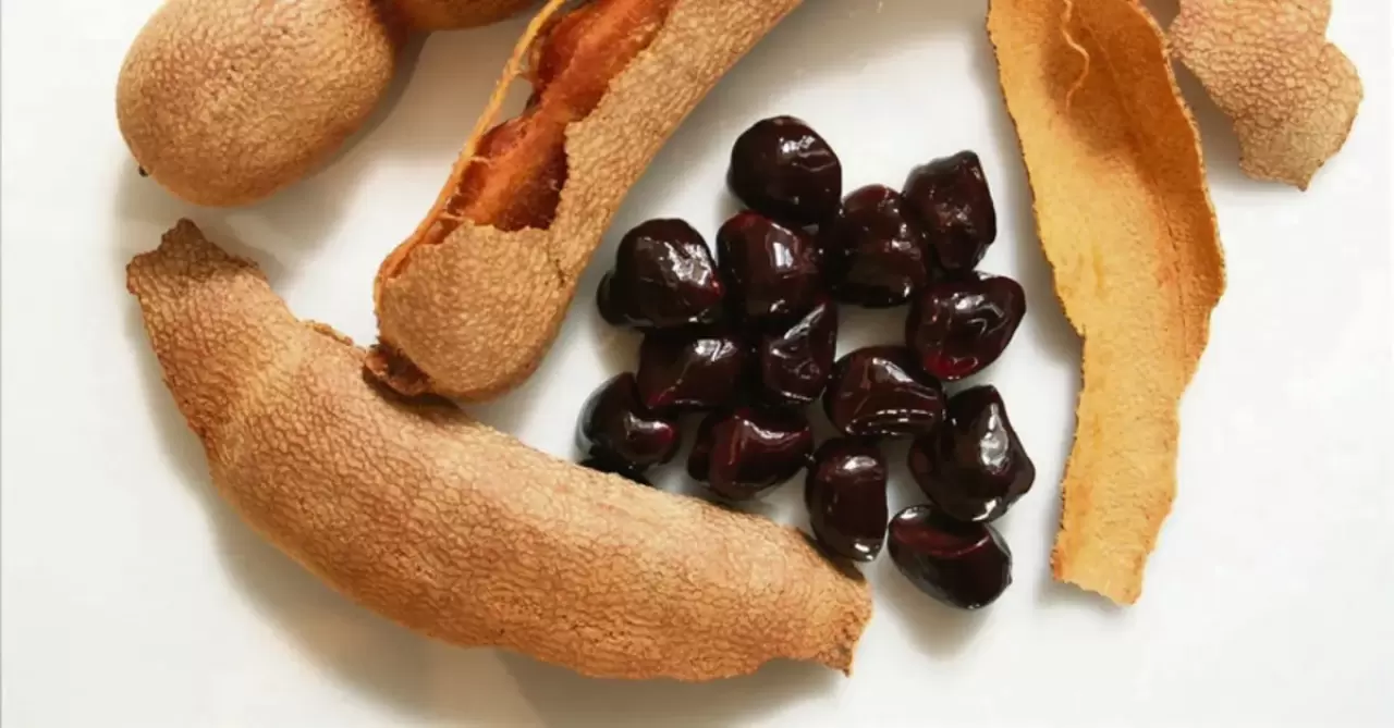 İbn-i Sina’nın şifa reçetesi yeniden gündemde! Kan şekerini dengeliyor, demir depolarını dolduruyor 4