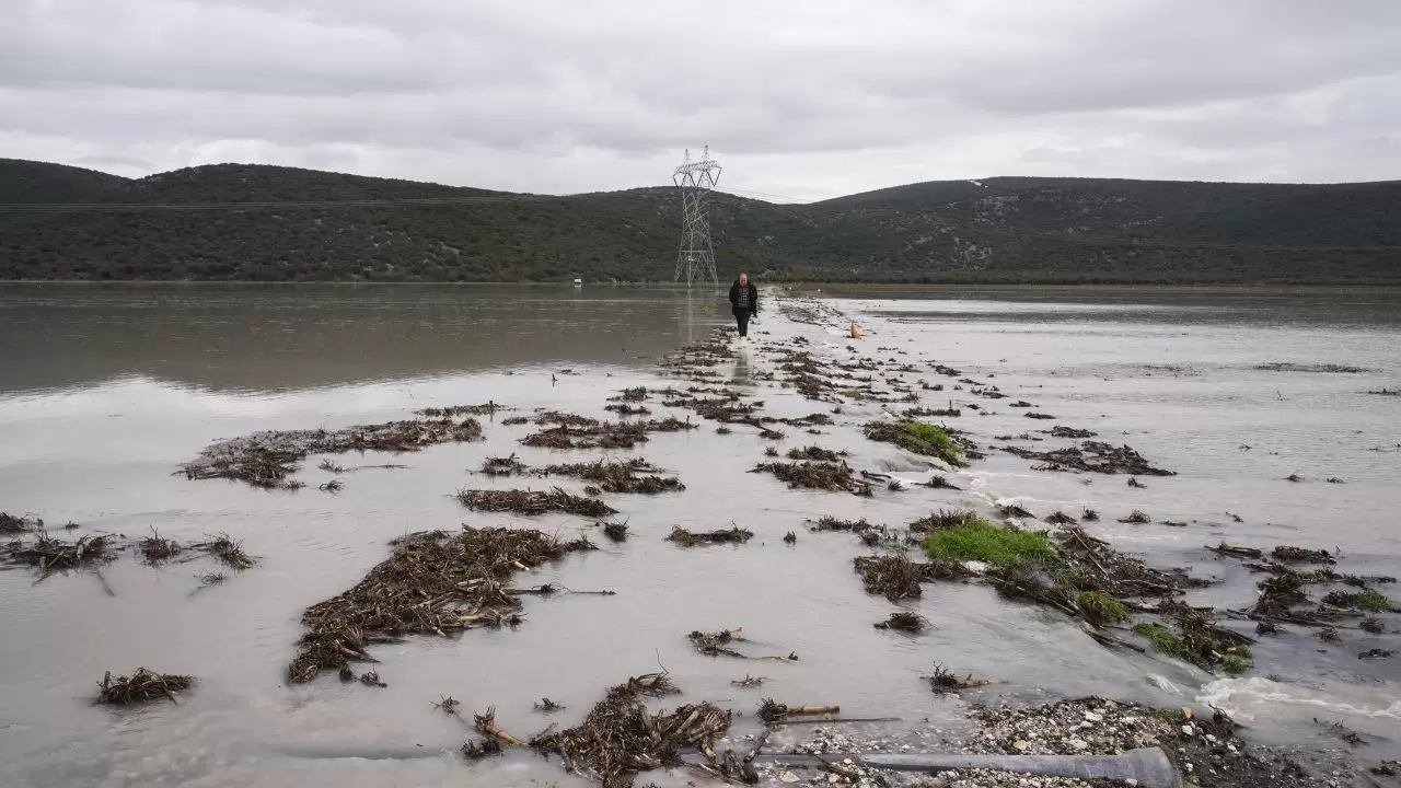 Tarlalar sular altında kaldı, çiftçi bayram etti! 4