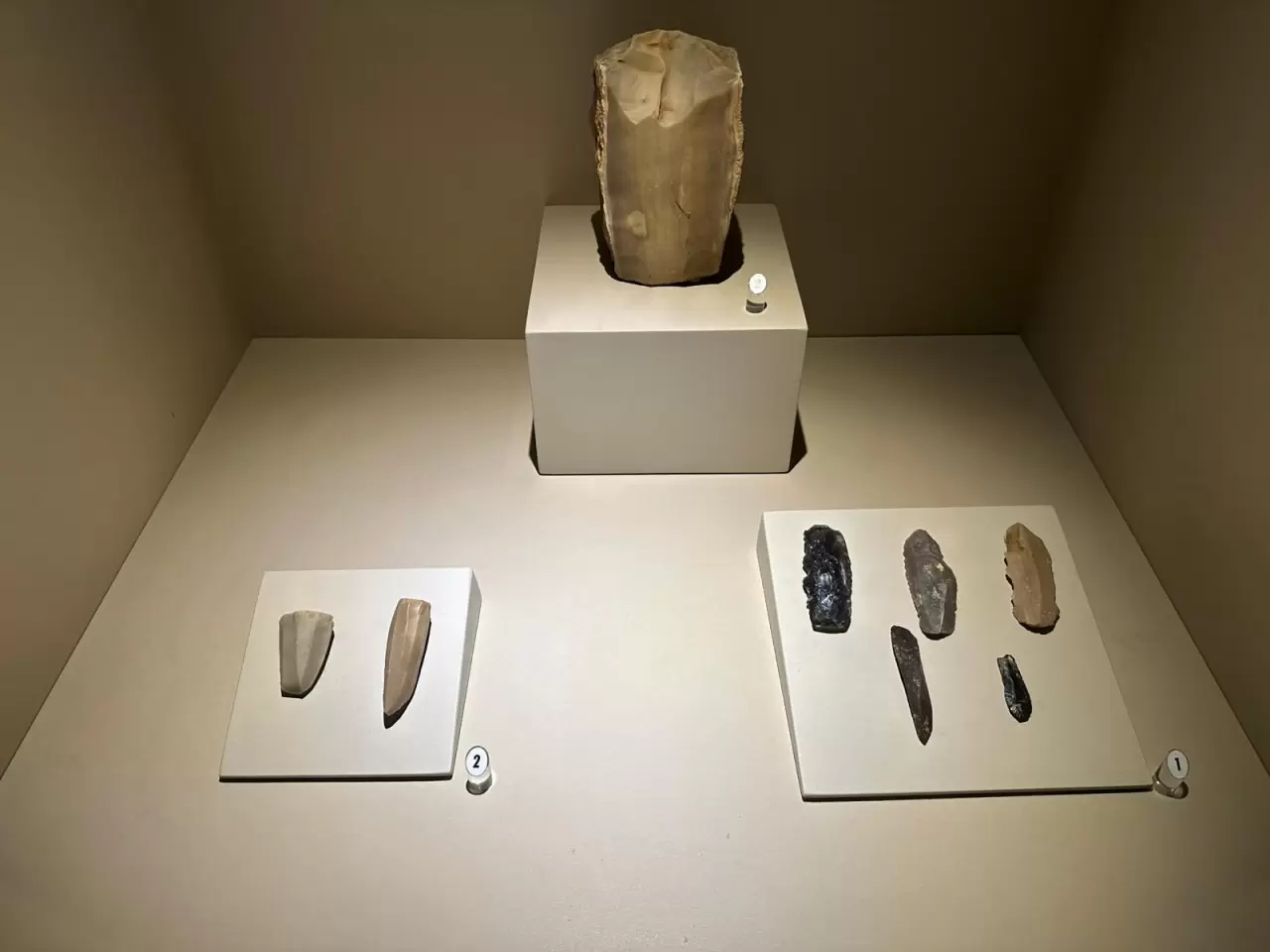 8 milyon yıl öncesine tanıklık eden müze 40 bin kişiyi ağırladı 3