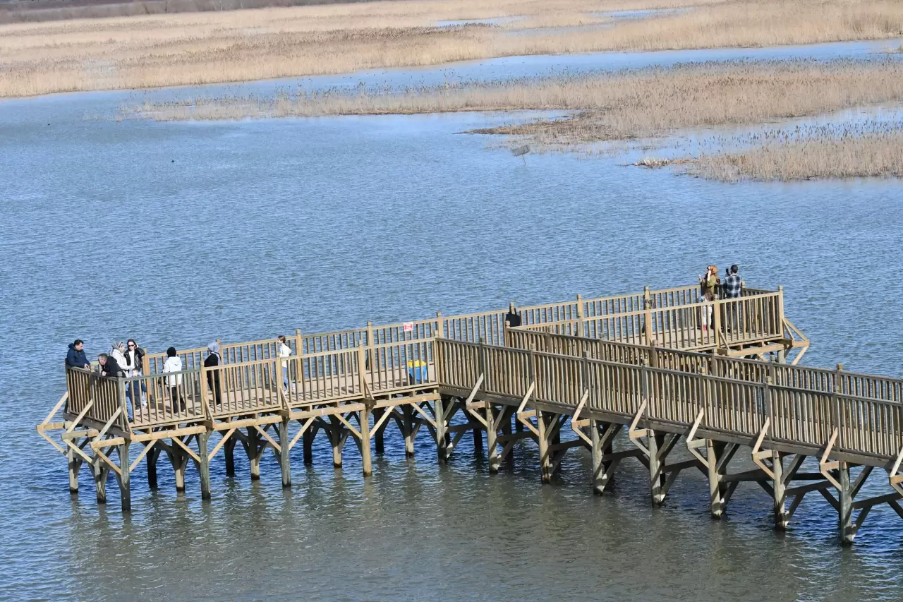Doğaseverler Efteni Gölü Kuş Cenneti'nde buluştu 4