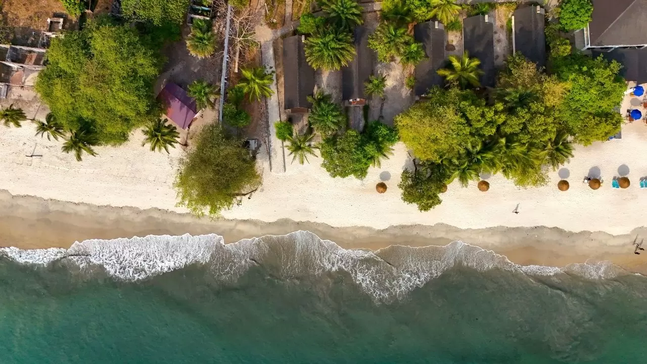 Freetown’da tatil sezonu başladı 5