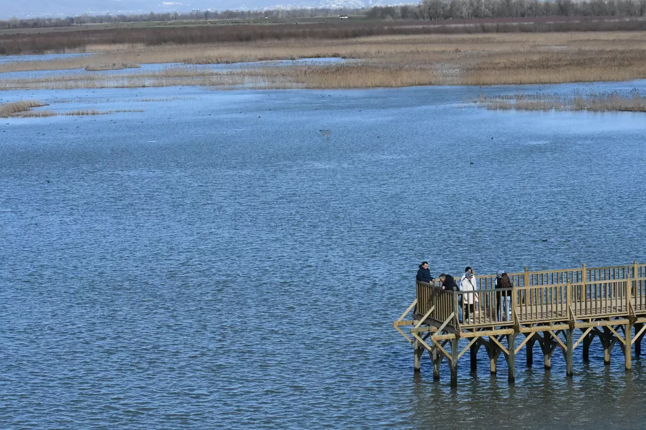 Doğaseverler Efteni Gölü Kuş Cenneti'nde buluştu 5