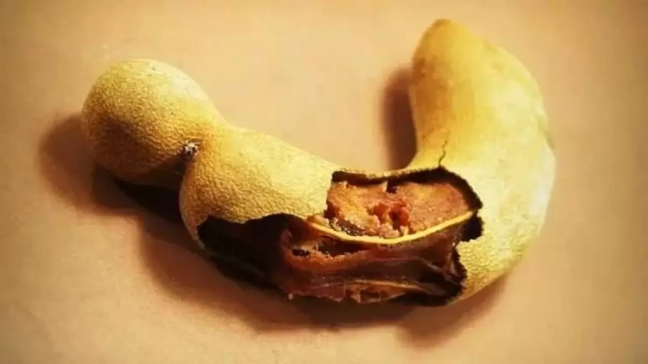 İbn-i Sina’nın şifa reçetesi yeniden gündemde! Kan şekerini dengeliyor, demir depolarını dolduruyor 3