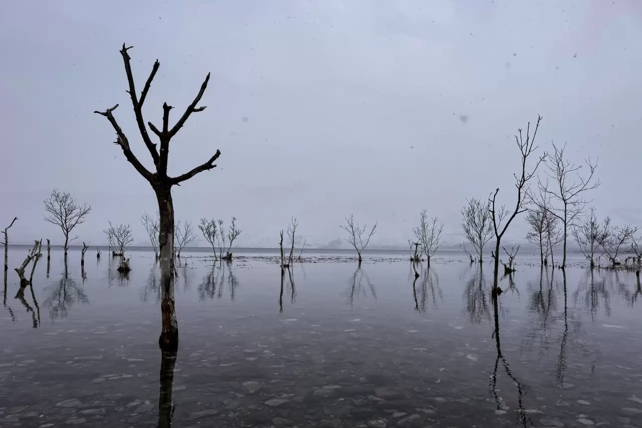 Hazar Gölü'nde kış masalı: Sivrice'de karla kaplı manzaranın keyfini çıkarın 4