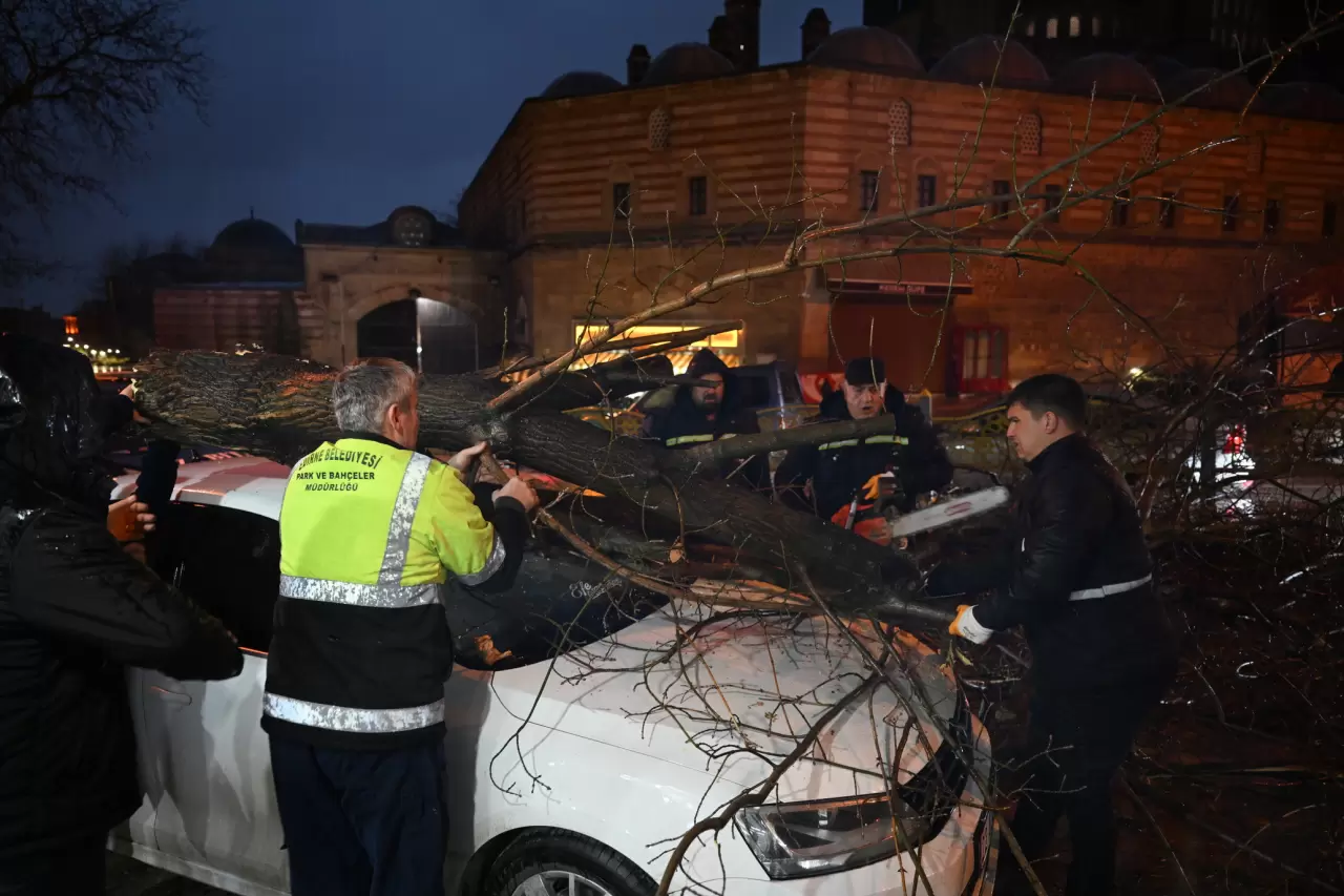 Edirne'de fırtına otomobilin üzerine ağaç devirdi 3