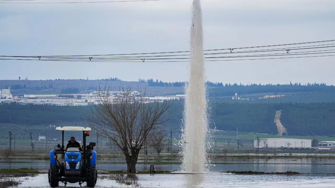 Tarlalar sular altında kaldı, çiftçi bayram etti! 8