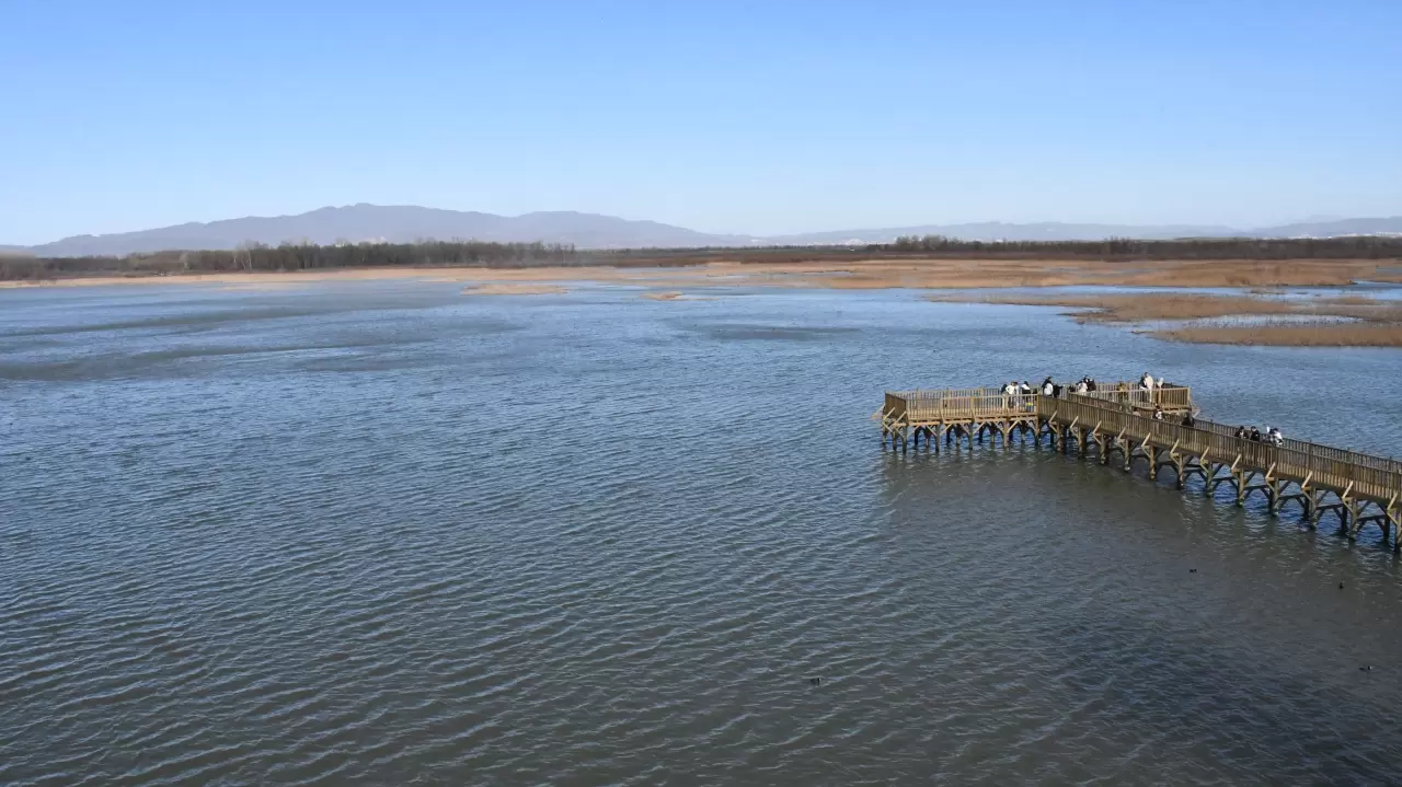 Doğaseverler Efteni Gölü Kuş Cenneti'nde buluştu 1