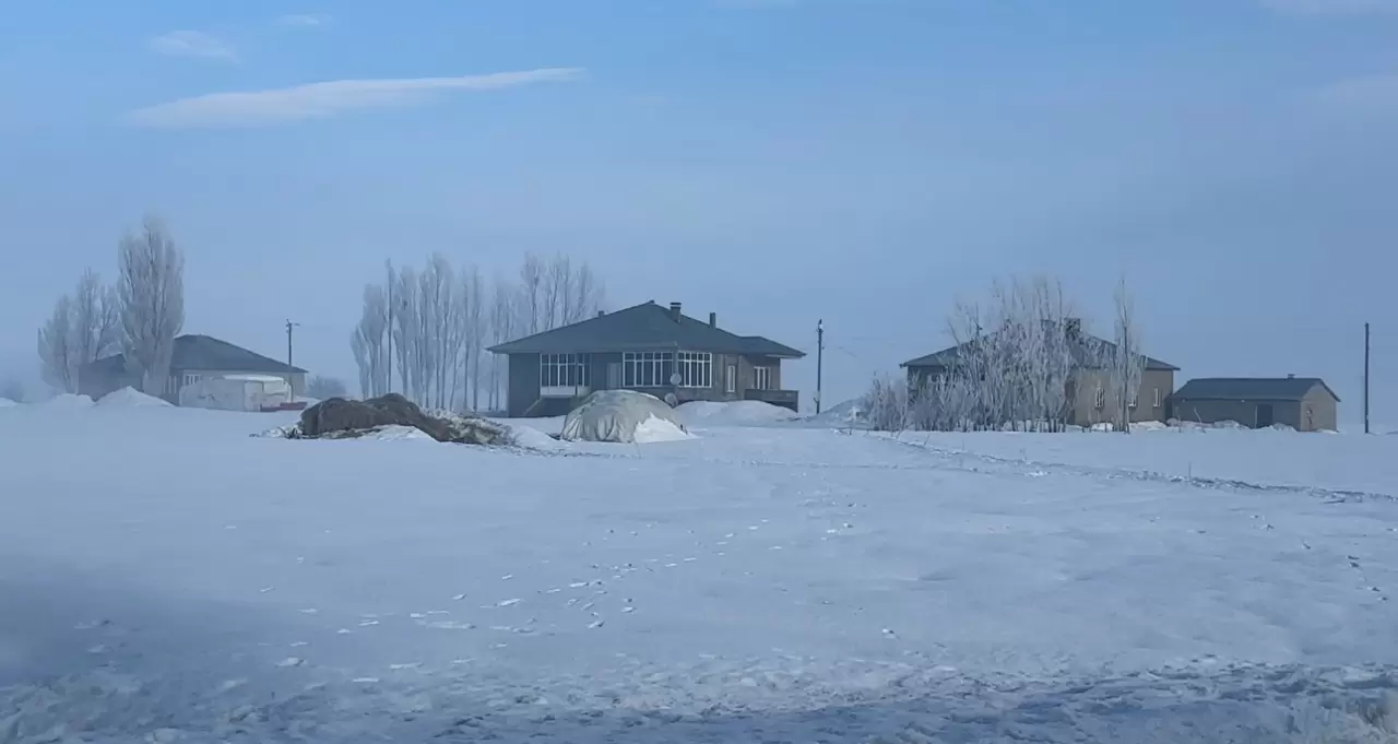 Ekipler ahır ahır gezip aşılama yapıyor! 7