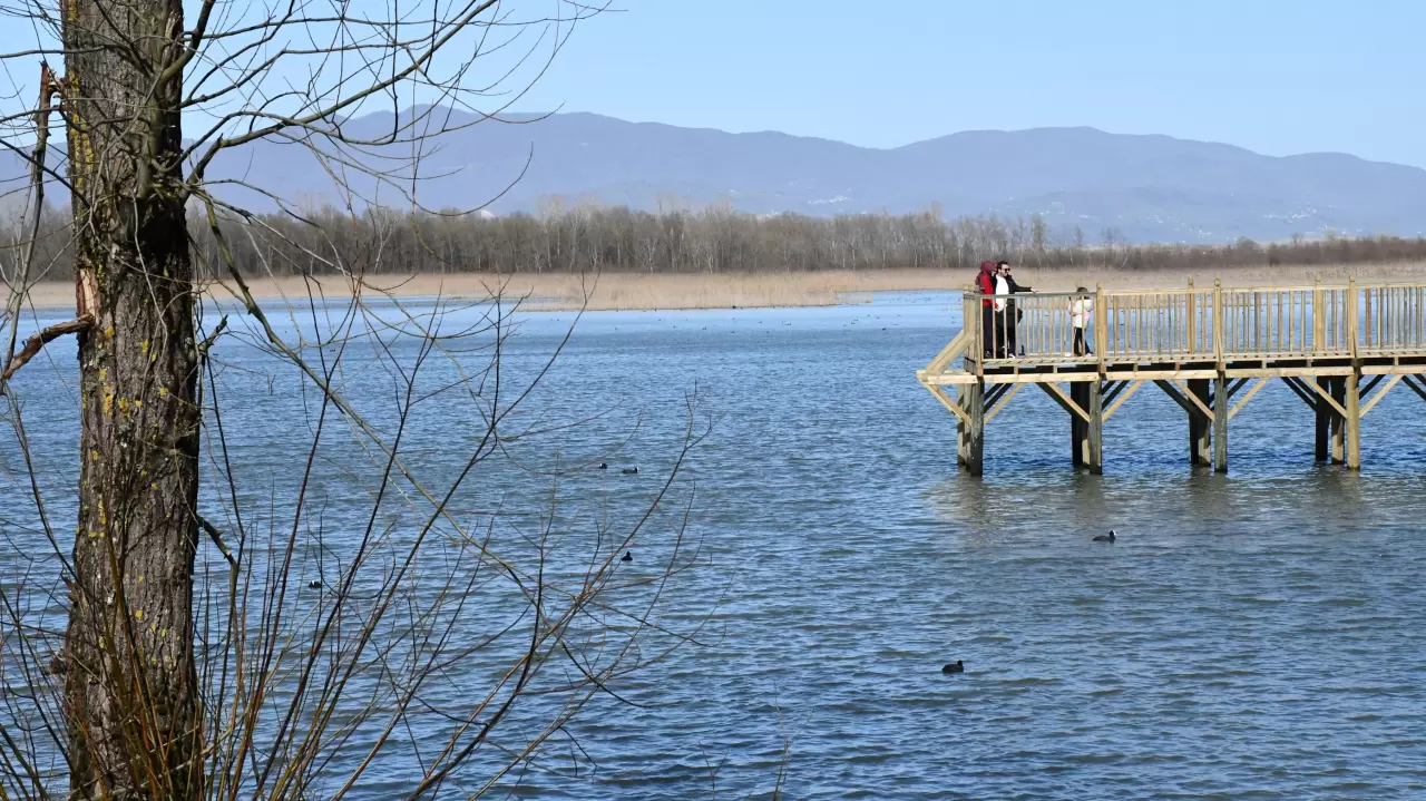 Doğaseverler Efteni Gölü Kuş Cenneti'nde buluştu 3