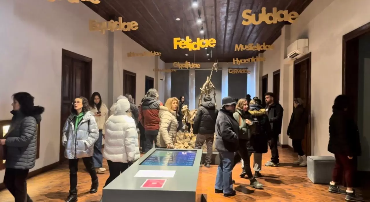 8 milyon yıl öncesine tanıklık eden müze 40 bin kişiyi ağırladı 9