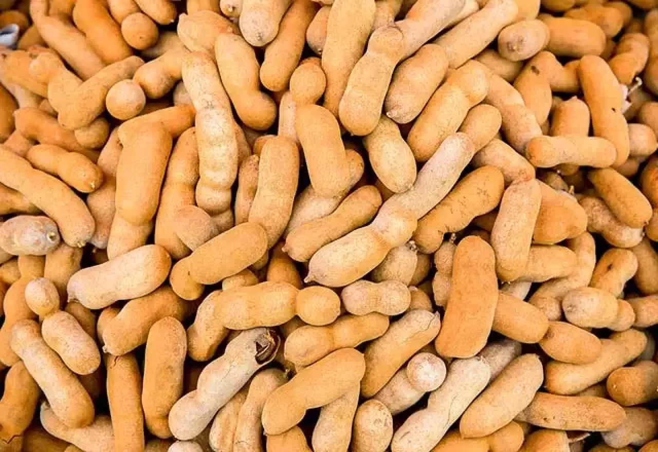 İbn-i Sina’nın şifa reçetesi yeniden gündemde! Kan şekerini dengeliyor, demir depolarını dolduruyor 7