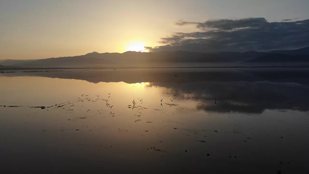 Yıllar sonra yeniden hayat buldu! Sağlık Ovası kuşların yuvası oldu 4