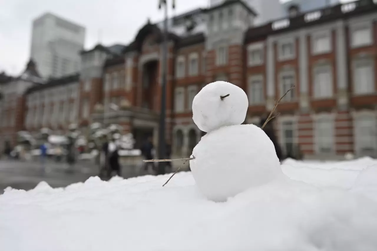 Tokyo’ya yılın ilk karı düştü! Beyaz manzara kartpostallık görüntüler oluşturdu 4