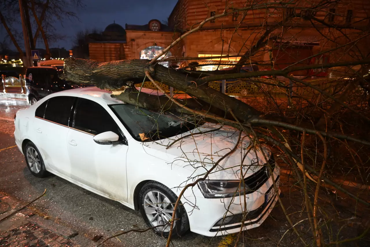 Edirne'de fırtına otomobilin üzerine ağaç devirdi 1