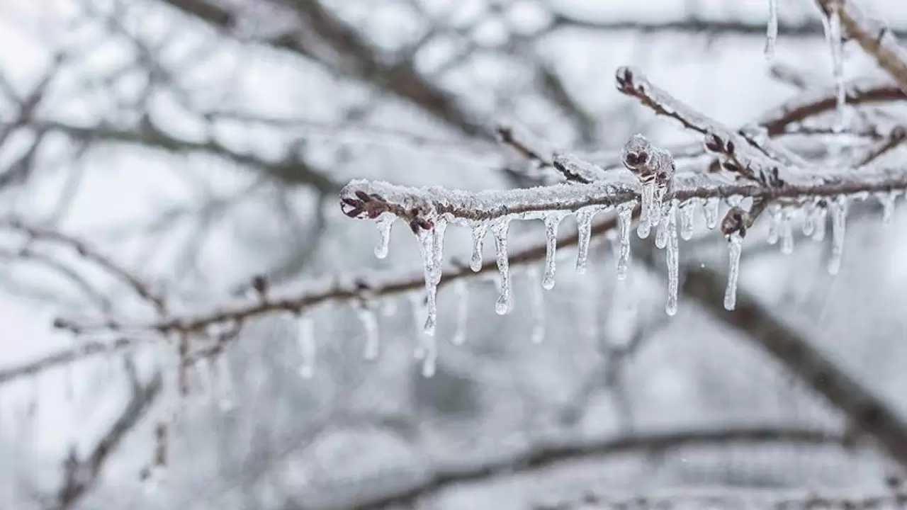 Birçok bölgede sağanak, kar ve fırtına etkili olacak 1