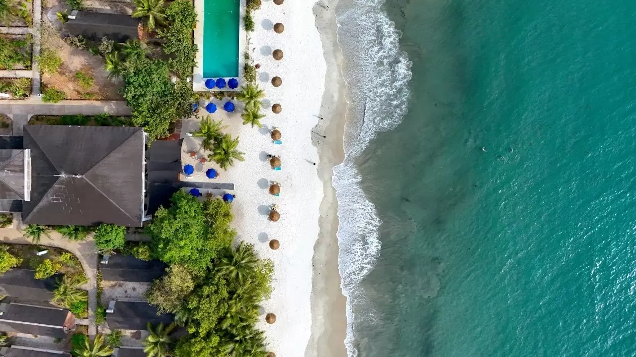 Freetown’da tatil sezonu başladı 3