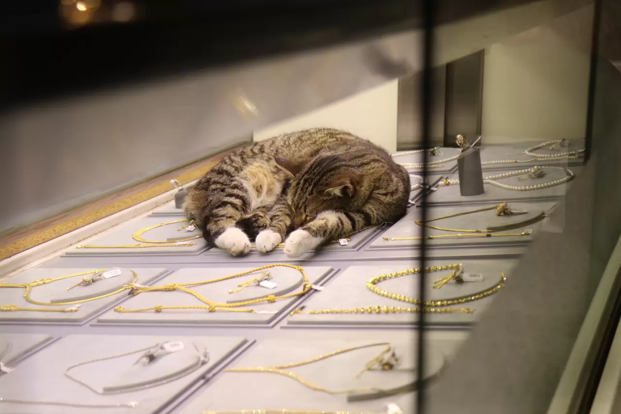 Sakaryalı kuyumcunun vefalı mesai arkadaşı 1