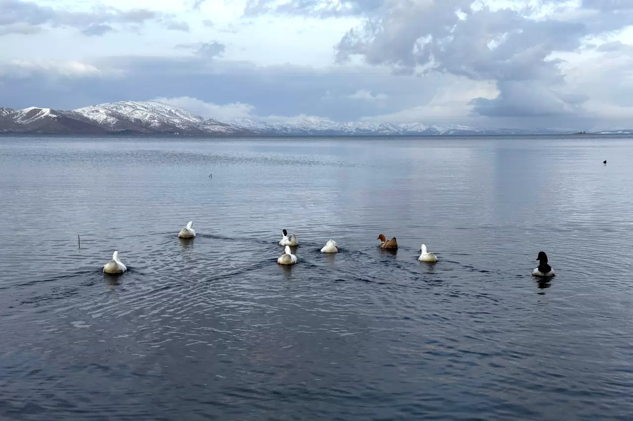 Hazar Gölü'nde kış masalı: Sivrice'de karla kaplı manzaranın keyfini çıkarın 2